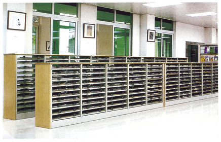 ʮ�ӈ�(b��o)��ƽ�ż�